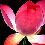 Leren Strippen Voor Je Lover: 8 Tips