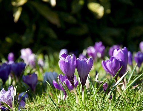 11 manieren om te genieten van de lente