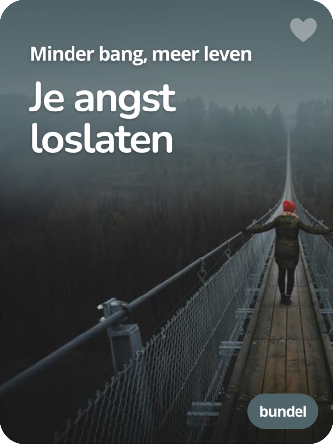 Je angst loslaten Bundel