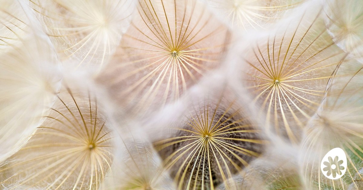 Ik heb alles maar ben niet gelukkig - wat als je ongelukkig bent?