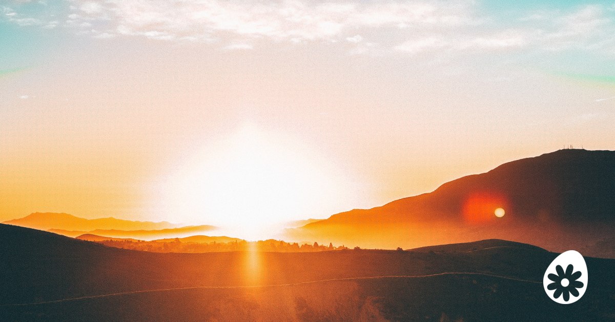 Wat is het doel van je leven? | soChicken