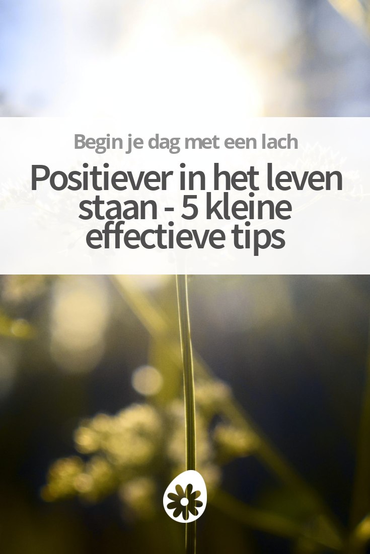 Positiever In Het Leven Staan - 5 Kleine Effectieve Tips | SoChicken