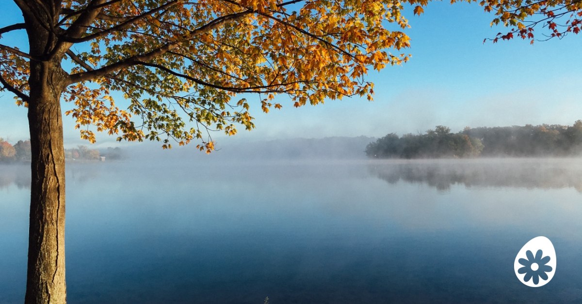 Geloof jij nog in de goedheid van mensen? | soChicken