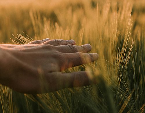 Laat anderen je geen schuldgevoelens aanpraten - 4 tips