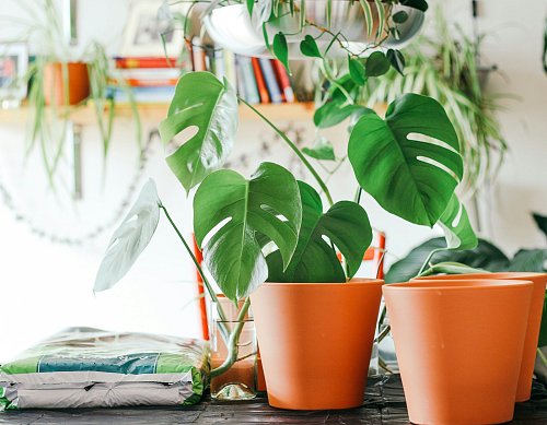 Nooit meer overweldigd - mijn 29 praktische tips voor een simpeler leven