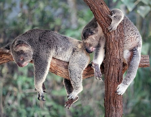 De verrassende reden waarom ik lekkerder slaap dan ooit