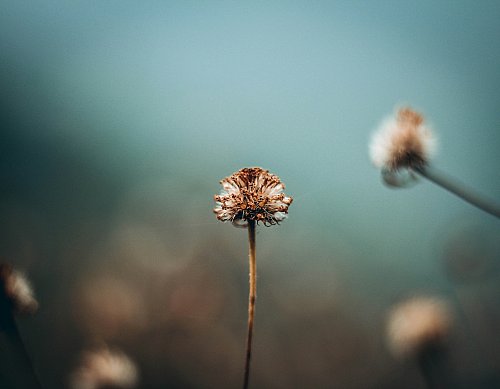 Slecht denken over jezelf - hoe buig je negatieve gedachten om naar positieve gedachten?