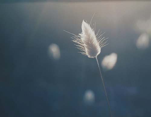 10 momenten van hoop bij rouw