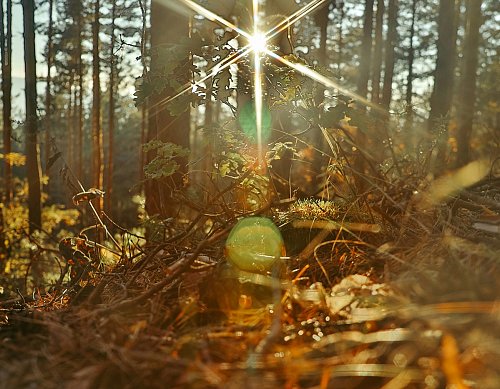 13 simpele hacks voor meer energie