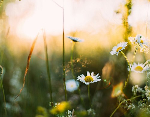 Ik gunde mezelf een 'tussenweek' en leerde dat echte rust niet vanzelf komt
