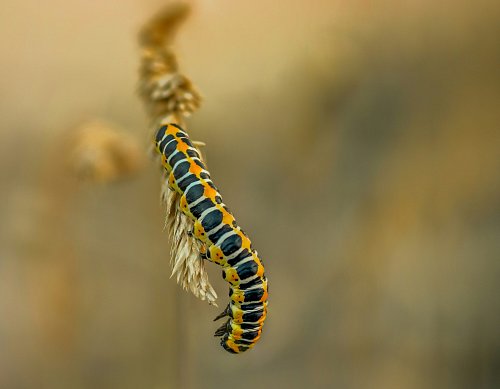 Deze 4 dagelijkse patronen vreten stilletjes energie - zo draaide ik ze om