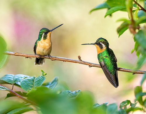 Ik maakte me jarenlang druk om wat anderen over me denken - deze 3 inzichten maakten me vrij