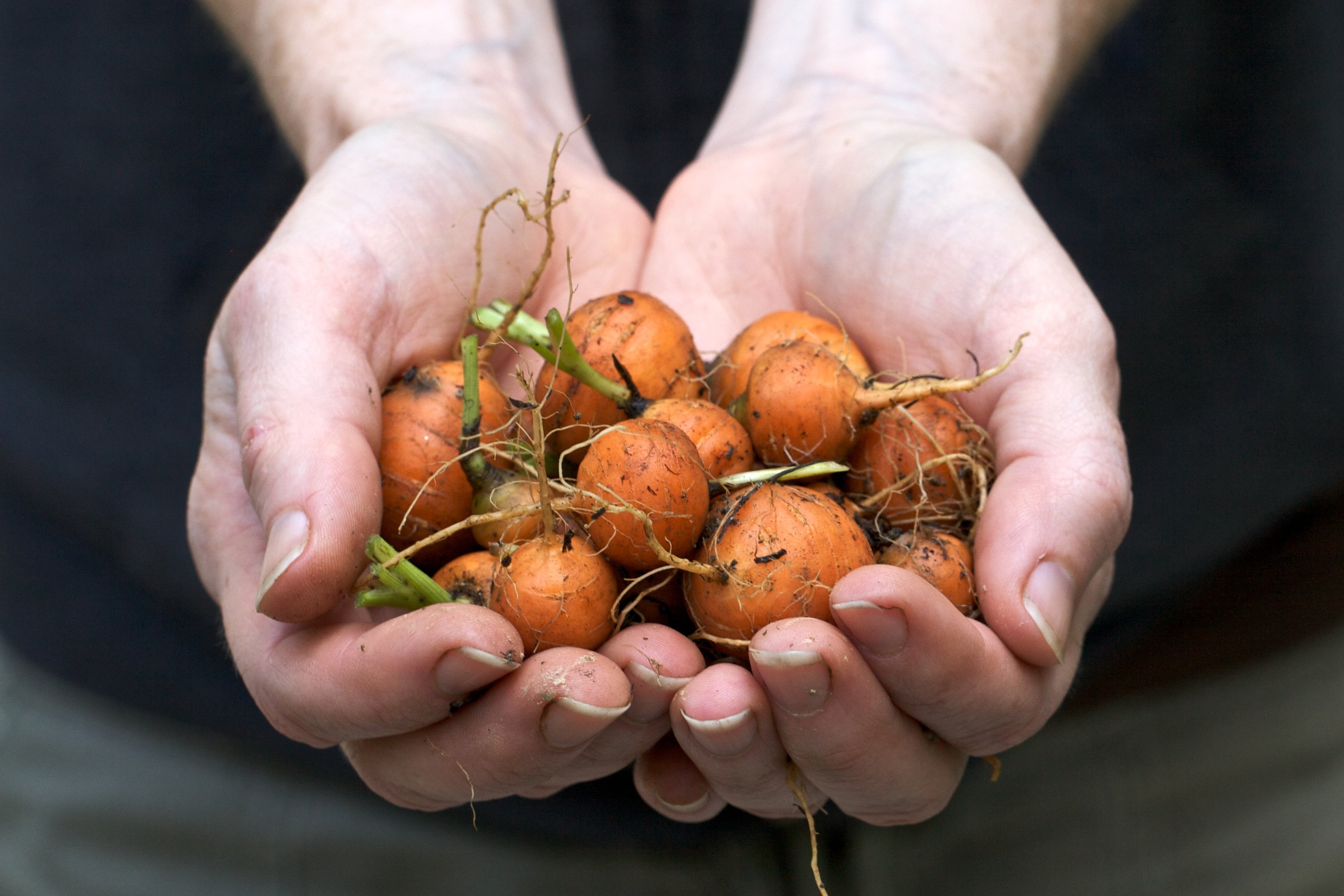 Wonderbaar Permacultuur - Begin jouw permacultuur tuin: 5 Tips ZE-76