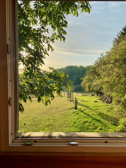 Het uitzicht vanaf de veranda: het weiland, de paarden en de wuivende bomen